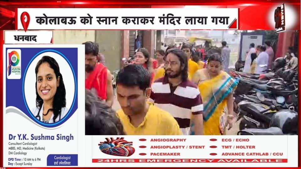 धनबाद में महासप्तमी पर नवपत्रिका स्नान, मंदिरों में उमड़े श्रद्धालु | 99 News
Hashtags:
#Dhanbad #MahaSaptami #NavapatrikaSnan #Kolabou #DurgaPuja #HariMandir #BengaliKalyanSamiti #JharkhandNews #99News