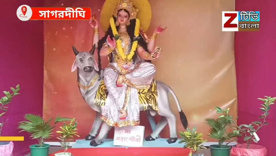 সাগরদীঘির বালিয়া পুজোয় বিশেষ আকর্ষণ,নবদুর্গার নয় রূপে দেবী বন্দনা