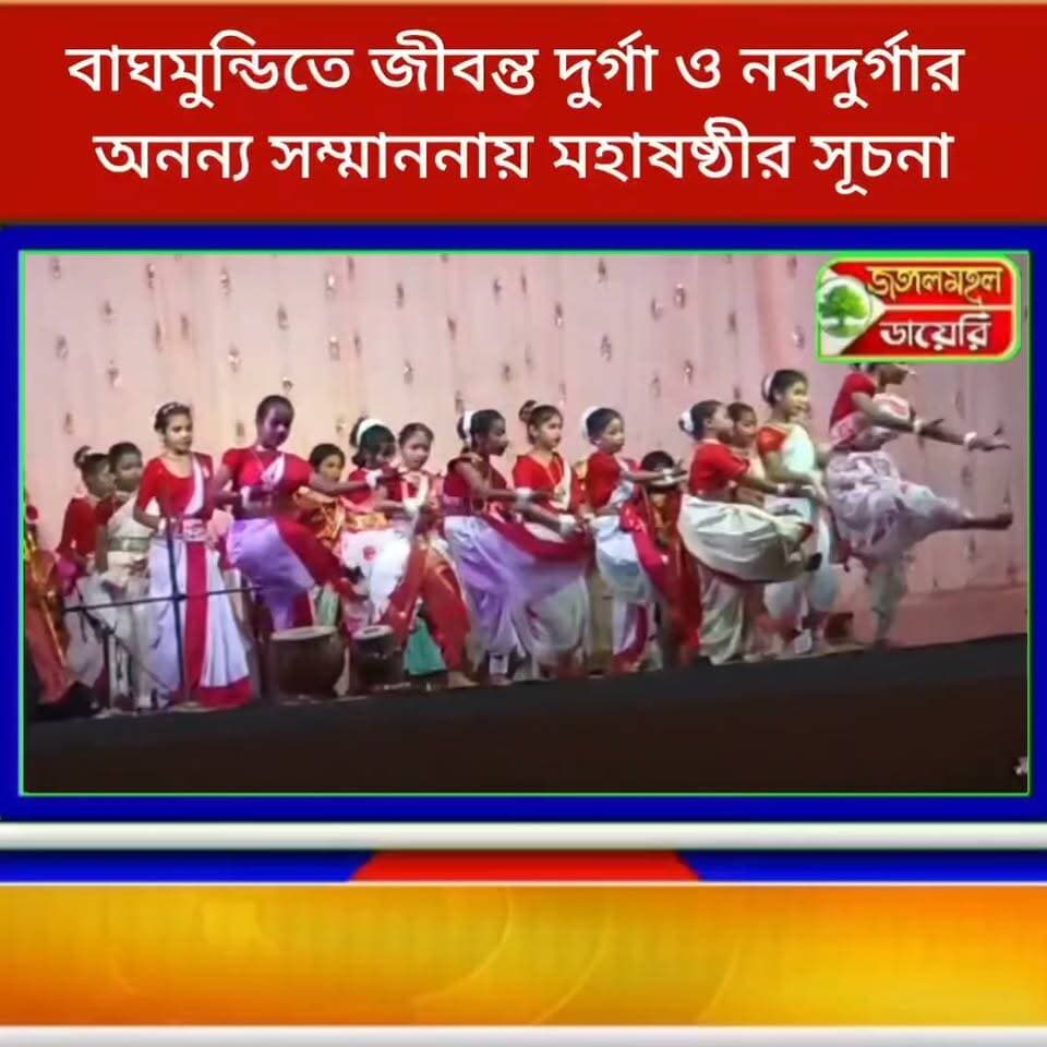 বাঘমুন্ডির পাথরডি পঞ্চ গ্রাম ষোলো আনা কমিটির দুর্গাপুজোর ১২তম বার্ষিক উদযাপন: জীবন্ত দুর্গা ও নবদুর্গার অনন্য সম্মাননায় মহাষষ্ঠীর সূচনা।
#durgapuja