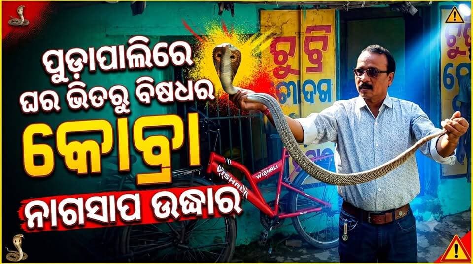 ପୁଡ଼ାପାଲିରେ ଘର ଭିତରୁ ବିଷଧର ନାଗସାପ ଉଦ୍ଧାର ଅଳ୍ପକେ ବର୍ତ୍ତିଲେ ପରିବାର ଲୋକେ