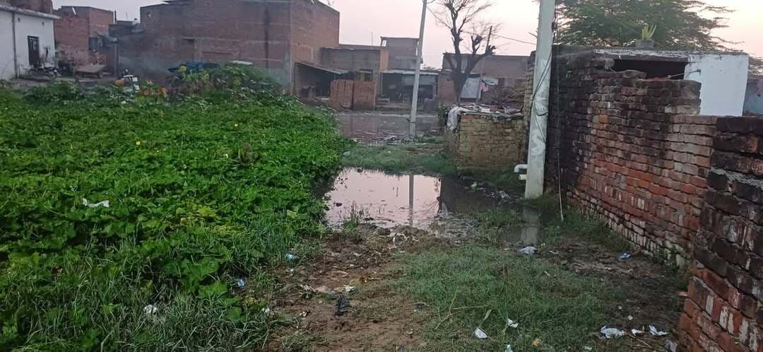 काश दलित राजनीति से उठकर कुछ इनका सुधार व उद्धार भी हो जाए यह बेचारे आज भी नरकीय जीवन जीने को विवश हैं
आज सुबह-सुबह भैंसा वाले महेश को बुलाने गया तो चारो ओर गंदगी और जल भराव देखकर दंग रह गया
बाल्मीक बस्ती का यह हाल है ग्राम मोहनपुर अवागढ एटा