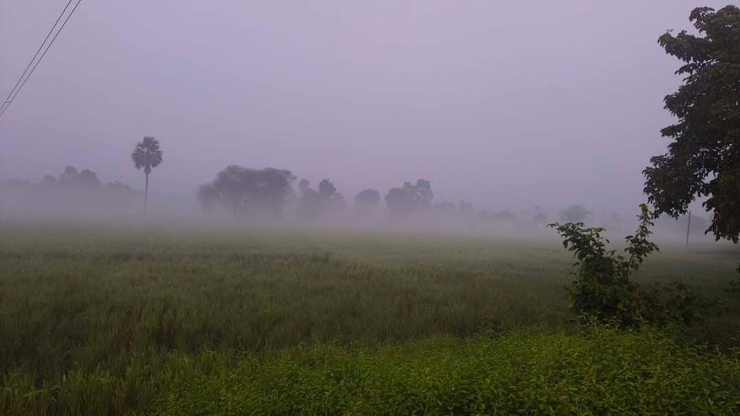 मऊ जिले के ग्रामीण क्षेत्रों में छाया कोहरा
#weather #MAU