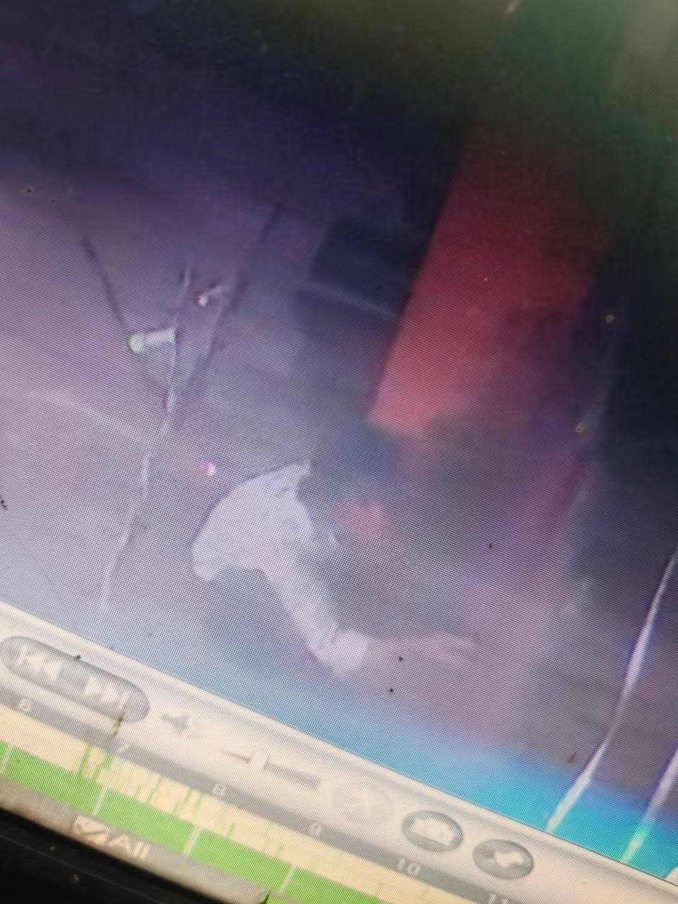 कृष्णा भगौती में मंदिर में दानपात्र और माता जी के गले का नोटों का हार चोरी, घटना कैमरे में कैद