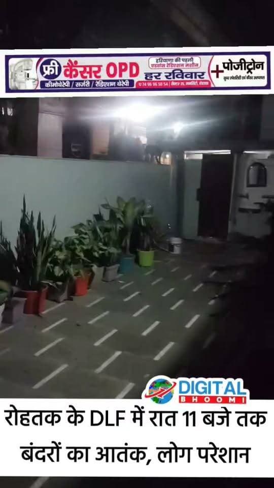 रोहतक के DLF में रात 11 बजे तक बंदरों का आ तंक, लोग परेशान