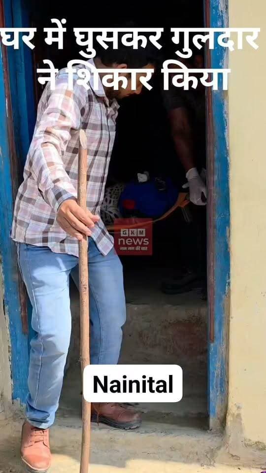 घर में घुसकर गुलदार ने शिकार किया, वन विभाग ने किया ट्रेंकुलाइज
उत्तराखण्ड में नैनीताल के बेतालघाट में रविवार देररात एक घर में गुलदार(तेंदुआ)घुसने से हड़कंप मच गया। वन विभाग ने ट्रेंक्विलाइज कर गुलदार को रैस्क्यू सेंटर पहुंचाया।
नैनीताल जिले में बेतालघाट क्षेत्र के तल्ली सेठी गांव में उस समय अफरा तफरी मच गई जब एक वयस्क तेंदुआ घर के अंदर घुस गया। तेंदुए ने घर में मौजूद कुत्ते को मार दिया। गुलदार की आवाज सुनकर, घर में रह रही बूढ़ी महिला ने पड़ोसियों को बुला लिया उर गुलदार के कमरे की कुंडी लगाकर बंन्द कर दिया।
ये खबर गांव में आग की तरह फैल गई और देखते ही देखते घर में ग्रामीणों की भीड़ जुट गई। आनन फानन में वन विभाग को सूचना दी गई, जिसके बाद सवेरे टीम पहुंची। टीम ने सावधानीपूर्वक कार्यवाही करते हुए तेंदुए को ट्रेंकुलाइज किया और रैस्क्यू सेंटर ले गए। तब जाकर ग्रामीणों ने राहत की सांस ली।
#gkmnews
#NainitalNews #LeopardRescue #Betalghat