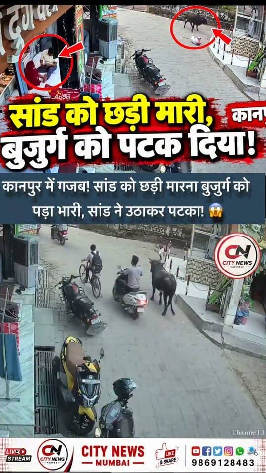 कानपुर में अजीब घटना! 🐂 सड़क से गुजर रहे सांड पर बुजुर्ग ने छड़ी चला दी। इसके बाद सांड ने बुजुर्ग को पटक दिया। इसी को कहते हैं—“आ बैल मुझे मार!” 😱
#Kanpur #ViralVideo #BullAttack #CCTVFootage #UPNews ViralNews HindiNews BreakingNews CityNewsMumbai TrendingReels ViralR