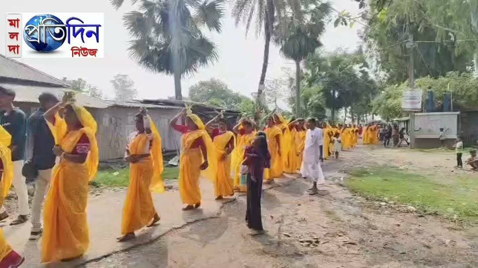 হাঁসপুকুর গ্রামে মহিলাদের উদ্যোগে প্রথম দুর্গাপুজো, ১০৮টি ঘট ভরার মধ্য দিয়ে শুভ সূচনা
অপূর্ব বর্মন বামনগোলা, মালদা: মহিলাদের উদ্যোগে প্রথমবার দুর্গাপুজোর আয়োজনকে কেন্দ্র করে উৎসবের আমেজ ছড়িয়ে পড়ল মালদার বামনগোলা ব্লকের জগতলা গ্রাম পঞ্চায়েতের অন্তর্গত হাঁসপুকুর গ্রামে। এতদিন এই গ্রামে দুর্গাপুজোর আয়োজন না হলেও, এবছর মাতা মনমোহিনী সেবা সমিতির উদ্যোগে প্রথমবার শুরু হলো শারদীয় দুর্গোৎসব। নতুন এই উদ্যোগকে ঘিরে গ্রামবাসীদের মধ্যে দেখা দিয়েছে ব্যাপক উৎসাহ ও উদ্দীপনা।
দুর্গাপুজোর শুভ সূচনা উপলক্ষে এদিন ১০৮টি ঘট ভরার আয়োজন করা হয়। এই উপলক্ষে গ্রামের মহিলারা হলুদ শাড়ি পরে মাথায় ঘট নিয়ে ঢাক-ঢোল ও বিভিন্ন বাদ্যযন্ত্রের তালে বর্ণাঢ্য শোভাযাত্রায় অংশ নেন। এরপর হাড়িয়া নদী থেকে জল সংগ্রহ করে পুজোর আনুষ্ঠানিকতা শুরু হয়। মহিলাদের এই বর্ণাঢ্য ঘটযাত্রাকে কেন্দ্র করে গোটা গ্রামজুড়ে তৈরি হয় উৎসবমুখর পরিবেশ।
প্রথমবার দুর্গাপুজোর আয়োজন হওয়ায় হাঁসপুকুর গ্রামের বাসিন্দাদের মধ্যে বাড়তি উচ্ছ্বাস লক্ষ্য করা যায়। মহিলাদের এই উদ্যোগে গ্রামের শারদোৎসবে যুক্ত হয়েছে এক নতুন মাত্রা। ধর্মীয় আচার-অনুষ্ঠানের পাশাপাশি এই পুজো গ্রামবাসীদের মধ্যে সম্প্রীতি ও মিলনের বার্তা ছড়িয়ে দিচ্ছে। মহিলাদের সম্মিলিত উদ্যোগে শুরু হওয়া এই দুর্গাপুজো ঘিরে এখন আনন্দে মাতোয়ারা হাঁসপুকুর গ্রাম।