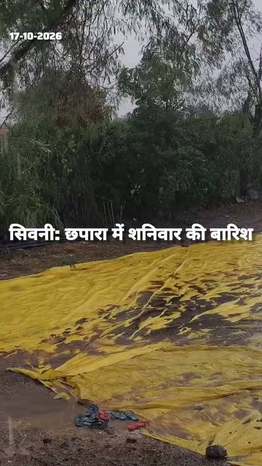 छपारा में शनिवार की बारिश से तबाही की संभावना
तेज हवा-तूफान और बारिश ने किसानों की कटी हुई मक्का को बर्बाद कर दिया। खेतों में पड़ी फसल भीगी, खड़ी फसल जमीन पर लेट गई।
किसान चिंता में, प्रशासन से निष्पक्ष सर्वे और मुआवजे की मांग।
आपके क्षेत्र में क्या हाल है? कमेंट में बताएं।
#Seoni #Chhapara #MadhyaPradesh #MakkaFasal #KisanNews #Barish #Mausam #SeoniNews #hk_news07 #MPNews #ChhaparaNews