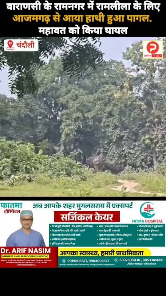 वाराणसी के रामनगर में रामलीला के लिए आजमगढ़ से आया हाथी हुआ पागल. महावत को किया घायल. काबू में करने की कोशिश जारी #news #वीडियो