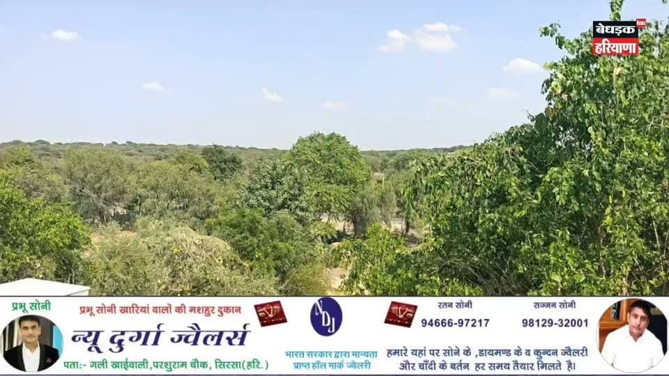 🚩🙏 सालासर यात्रियों की सेवा में जुटे सेवादार, देखिए कैसे हो रही है यात्रा!🙏🚩
जहां भक्ति है, वहां सेवा है ❤️🚩
सालासर बालाजी के दर्शन करने जा रहे श्रद्धालुओं की सेवा में सेवादार पूरी श्रद्धा और समर्पण के साथ जुटे हुए हैं। 🙏
आखिर कैसे हो रही है यात्रियों की सेवा और क्या-क्या व्यवस्थाएं की गई हैं? देखिए पूरी वीडियो और जानिए यात्रा की पूरी कहानी।
🚩 जय श्री सालासर बालाजी महाराज! 🚩
🙏 वीडियो पसंद आए तो लाइक करें, शेयर करें और कमेंट में
जय श्री बालाजी जरूर लिखें।
#SalasarBalaji #SalasarYatra #सालासरबालाजी #सालासरयात्रा #यात्रीसेवा #सेवा_ही_धर्म_है #जयश्रीबालाजी #बालाजीमहाराज #धार्मिकयात्रा #भक्ति #ViralVideo #TrendingReels #FacebookReels #BedhadakHaryanaNews
