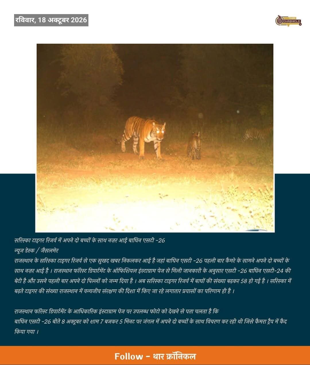 सरिस्का टाइगर रिजर्व में अपने दो बच्चों के साथ नज़र आई बाघिन एसटी -26