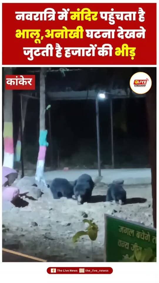 कांकेर के कोदागांव में नवरात्रि पर मां शीतला मंदिर पहुंचता है भालू, दर्शन के लिए उमड़ते हैं हजारों श्रद्धालु
#bhalu #newsupdate #chhattisgarh #viralvideos #shorts