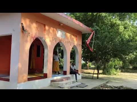मंदिर में गिरे पेड़ को काटने पर विवाद, पुजारी ने लगाई न्याय की गुहार #ayodhya #milkipur
