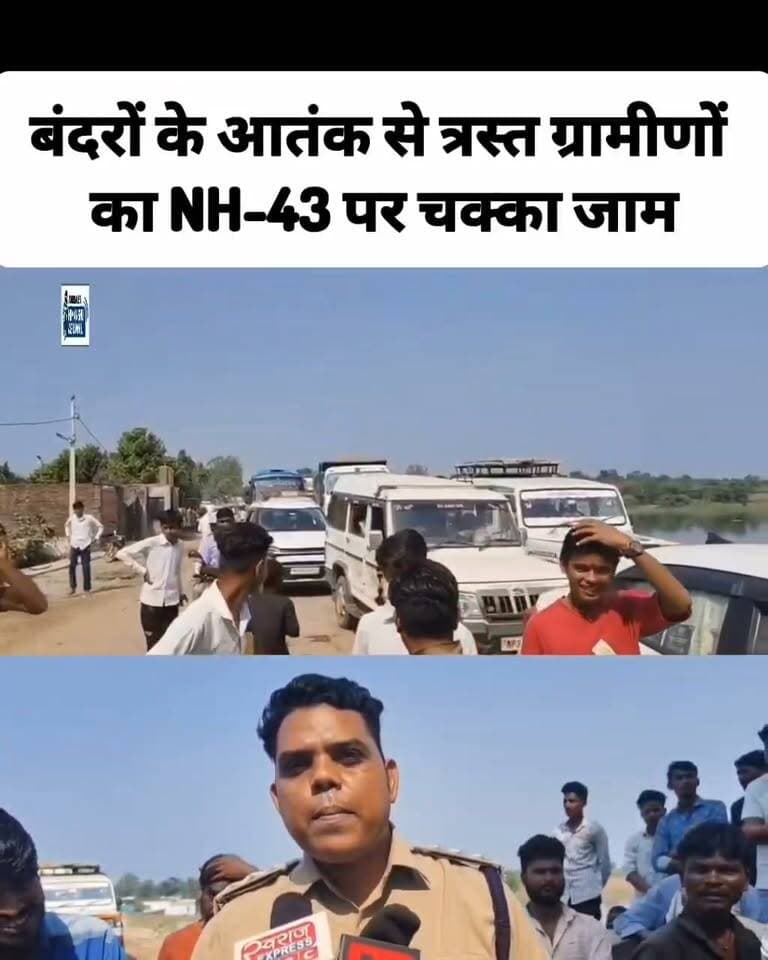 बंदरों के आतंक से परेशान ग्रामीणों ने किया चक्का जाम, NH-43 पर लगाया जाम
छतरपुर के किशनगढ़ थाना क्षेत्र के ग्राम राईपुरा में बंदरों के आतंक से परेशान ग्रामीणों ने सड़क पर चक्का जाम कर दिया। जाम के कारण अमानगंज-गुलगंज नेशनल हाईवे 43 पर वाहनों की लंबी कतारें लग गईं।जाम की जानकारी मिलते ही पुलिस बल मौके पर पहुँचा और ग्रामीणों को समस्या से मुक्त करने का आश्वासन दिया। इस दौरान ग्रामीणों का आरोप है कि गांव में बंदर लगातार लोगों पर हमला कर घायल कर रहे हैं, लेकिन अस्पताल में इंजेक्शन उपलब्ध नहीं है। वन विभाग द्वारा भी बंदरों के रेस्क्यू को लेकर कोई उचित व्यवस्था नहीं की जा रही है।मौके पर पहुंचे एसडीओपी अजय राठौरिया और वन परिक्षेत्र अधिकारी ने ग्रामीणों को अस्वाशन देकर कर जल्द बंदरो को पकड़वाने की बात कही तब कही करीब साढ़े 3 घंटे बाद जाम खोला गया
हिमांशु अग्रवाल
छतरपुर