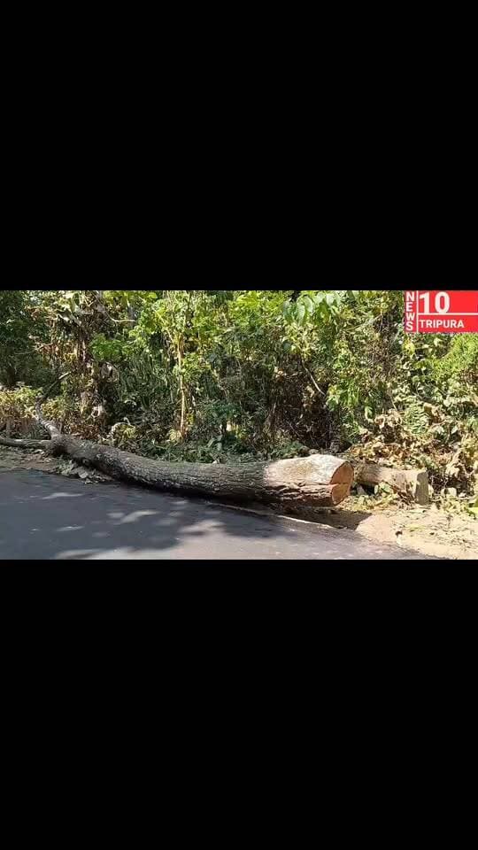 উদয়পুর পেরেতিয়া এলাকায় রাতের আঁধারে বনদস্যুরা দিনের পর দিন গাছ কেটে নিয়ে গেলেও দিশেহারা পেরাতিয়ার ফরেস্ট দপ্তর। সূত্রের খবর মাসোয়ারার বিনিময়ে বনদস্যুরা গাছ কেটে নিয়ে যাচ্ছে বলে অভিযোগ। দপ্তরের উদাসীনতার কারণে এমনটাই হচ্ছে বলে জানা যায়।