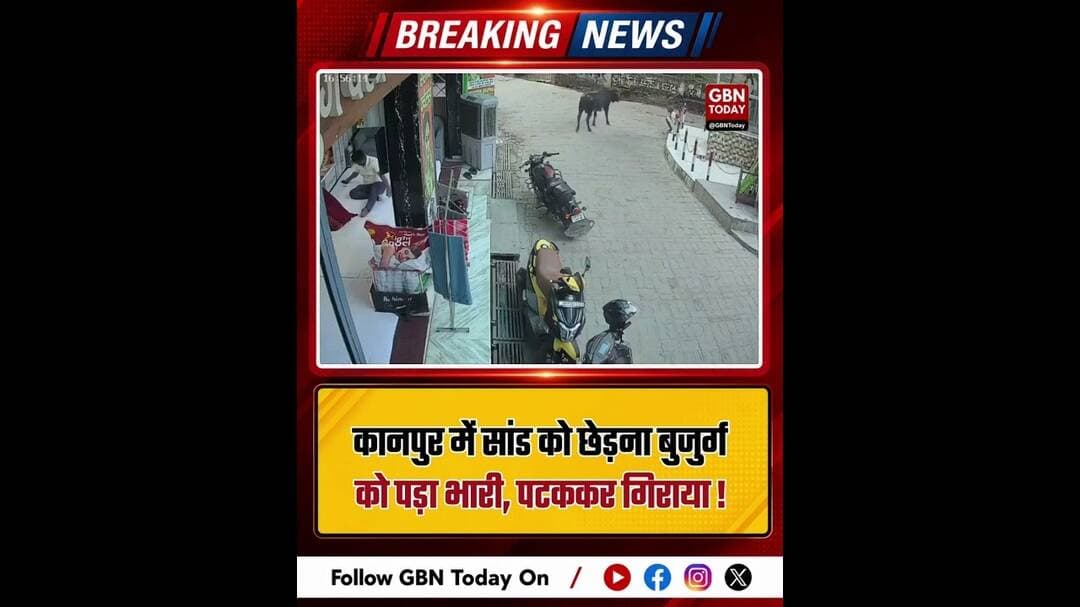 कानपुर में सांड को छेड़ना बुजुर्ग को पड़ा भारी, पटककर गिराया#Kanpur #ViralVideo #BreakingNews
