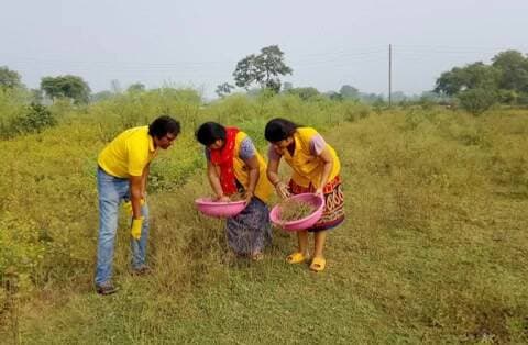 बालोद: स्वच्छ धरा वेलफेयर समिति का 1,330वां दिन जारी अभियान