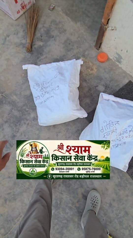 #दफ्तरी21 #Daftari21 #चना
