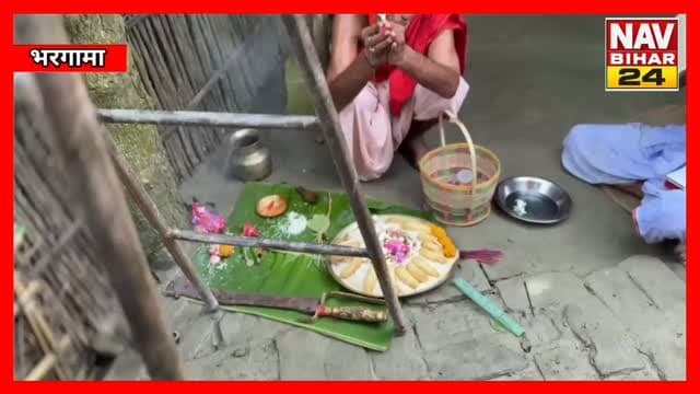 पालकी में जोड़ा बेल, शंख-नगाड़ों की गूंज… हरिपुर कला में प्रकृति स्वरूपा मां दुर्गा की अनूठी आराधना
