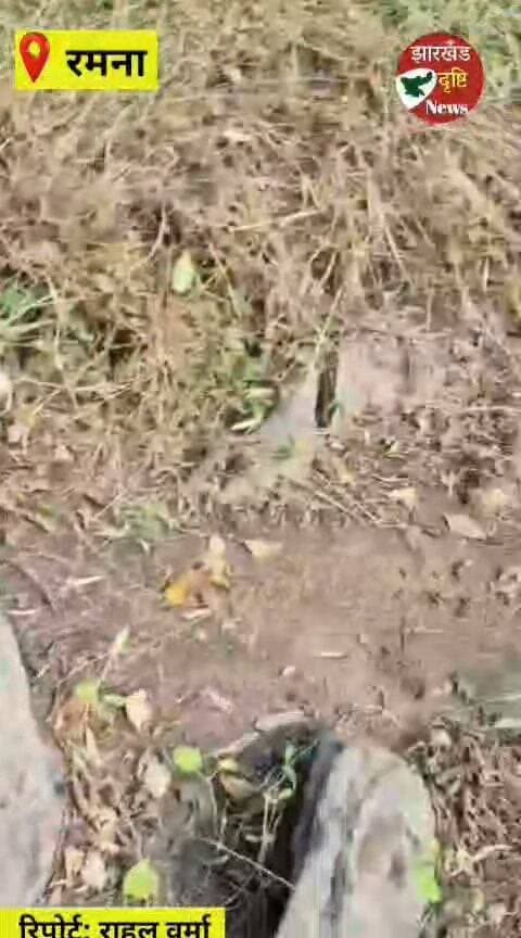 बरहिया जंगल में 900 किलो जावा महुआ नष्ट, शराब भट्टी ध्वस्त