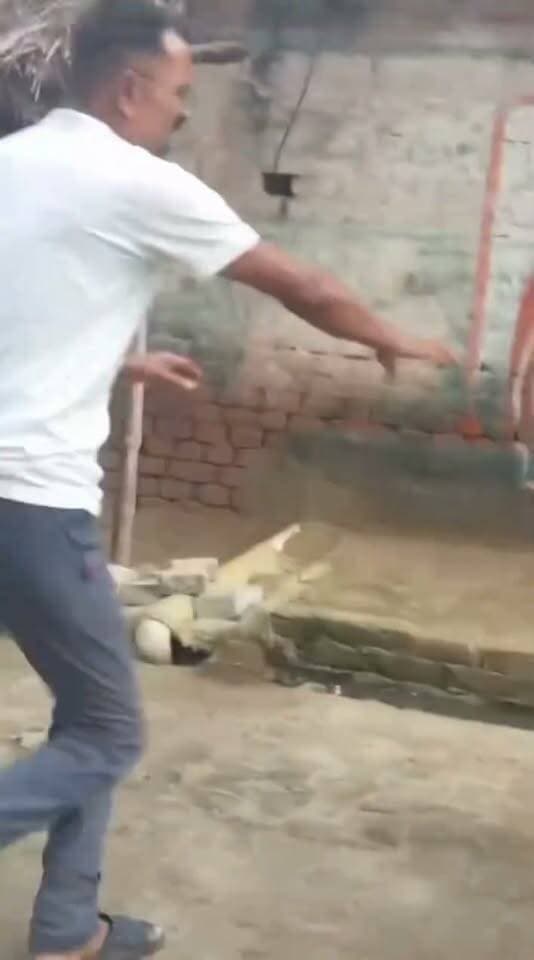 अमैय्यापुर पूर्वी में खूनी संघर्ष: आपसी विवाद के चलते सड़कों पर चले लाठी-डंडे, मची अफरा-तफरी
अमैयापुर पूर्वी क्षेत्र में आपसी रंजिश और विवाद के चलते दो पक्षों के बीच जमकर खूनी संघर्ष का मामला सामने आया है। इस हिंसक झड़प के दौरान सड़क पर लाठी-डंडे और मारपीट होते देख स्थानीय लोगों में भारी दहशत फैल गई।
सड़क पर दौड़ा-दौड़ाकर मारपीट
प्राप्त जानकारी के अनुसार, अमैयापुर पूर्वी इलाके की एक गली में अचानक दो पक्षों के लोग आमने-सामने आ गए। विवाद इतना बढ़ गया कि लोग हाथों में डंडे लेकर एक-दूसरे पर टूट पड़े। वायरल वीडियो में साफ देखा जा सकता है कि किस तरह युवक सड़क पर दौड़ते हुए और मारपीट करते नजर आ रहे हैं। इस हिंसक झड़प में कुछ लोगों को चोटें भी आईं और मौके पर भगदड़ जैसी स्थिति बन गई।