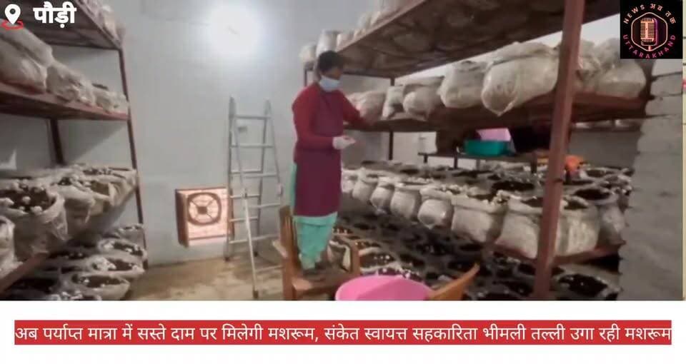 #पौड़ी में अब पर्याप्ता मात्र में मिलेगी #बटन_मशरूम #नागदेव क्षेत्र में ग्रामोत्थान परियोजना की पहल पर शुरू हुई #मशरूम_यूनिट।