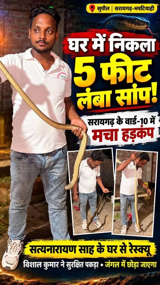 🏠 सुपौल में आधी रात घर में घुसा 5 फीट लंबा सांप! विशाल कुमार ने किया रेस्क्यू, दहशत में आया परिवार.
🐍 सरायगढ़ में घर बना सांप का ठिकाना! रात में दिखा 5 फीट लंबा सर्प, रेस्क्यू टीम ने संभाला मोर्चा.
🔴 सत्यनारायण साह के घर निकला लंबा सांप, रात में पहुंची रेस्क्यू टीम; फिर जो हुआ…
#SnakeRescue #सुपौल_न्यूज #सांप_का_रेस्क्यू #BiharNews #ViralVideo #FacebookReels #TrendingReels #ForYou #NonFollowers #ViralNewsUpdate