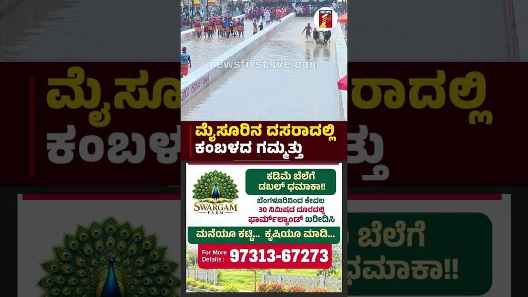 ಮೈಸೂರಿನ ದಸರಾದಲ್ಲಿ ಕಂಬಳದ ಗಮ್ಮತ್ತು |@newsfirstkannada