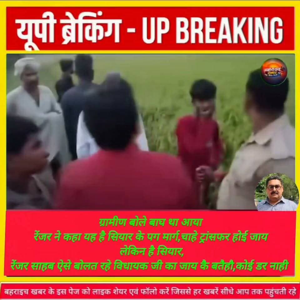 ग्रामीणों का बड़ा आरोप रेंजर बहराइच मो०शाकिब ने बाघ के पगचिह्न को बताया सियार का पग चिन्ह