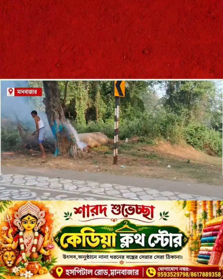 মহাষ্টমীর সন্ধিক্ষণে তিনটি পর পর তোপধ্বনির মাধ্যমে বলিদান প্রথা সম্পন্ন হল মানবাজারে