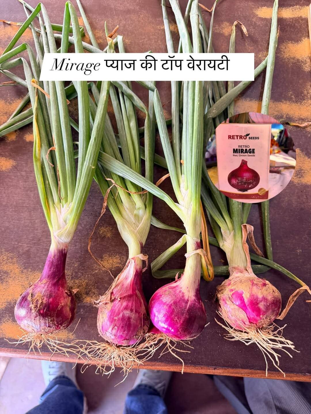 Good morning everyone
प्याज की वेरायटी कैसी लगी आपको