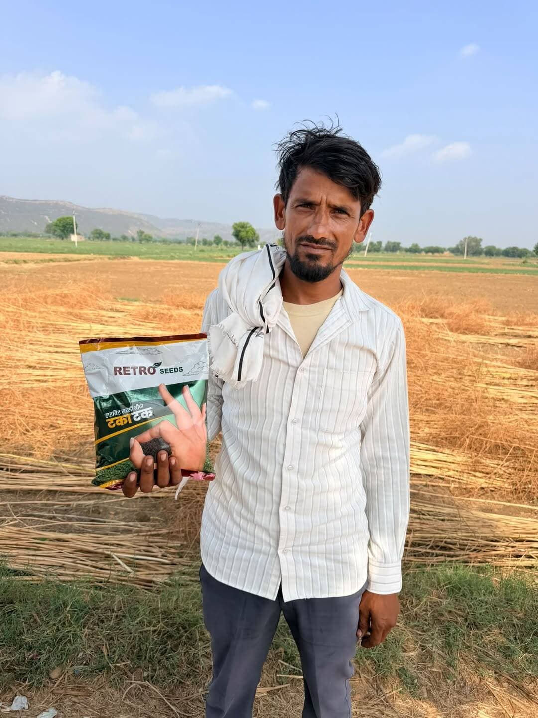 किसान भाई जमसेद ने इस बार सरसों की टकाटक वेरायटी लगा रहे हैं