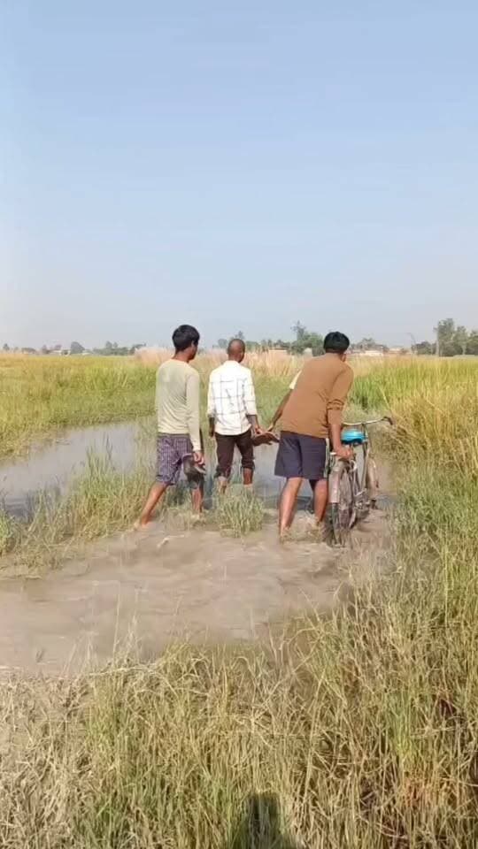 मऊ के माछिल जमीन माछिल गांव में बदहाल रास्ते से ग्रामीण परेशान, जलभराव के बीच आने-जाने को मजबूर लोग