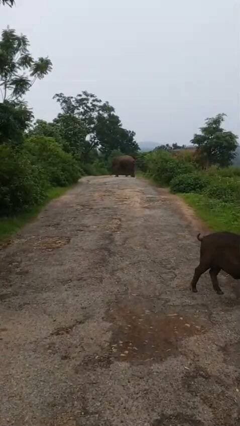 इस गाने के आधार पर सीन शानदार है क्या बात है #sarguja #BreakingNews