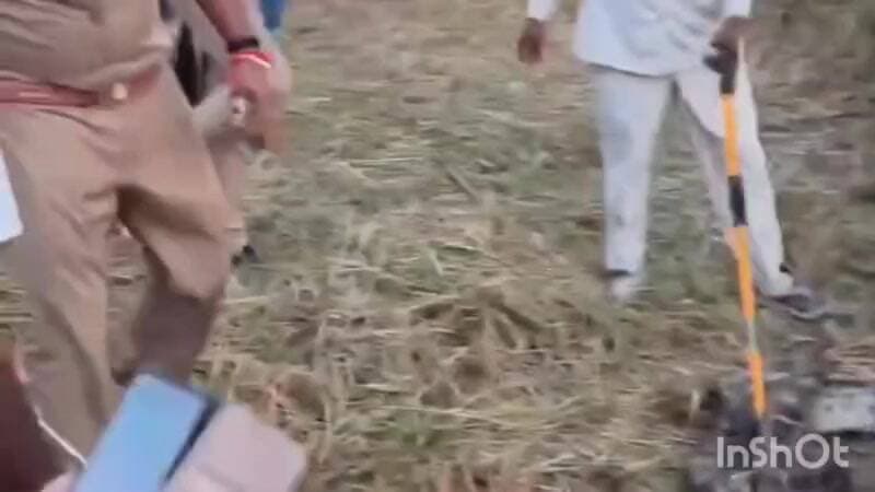 हर्रैया: बस्ती में धान के खेत से निकला विशाल अजगर, वन विभाग ने किया रेस्क्यू