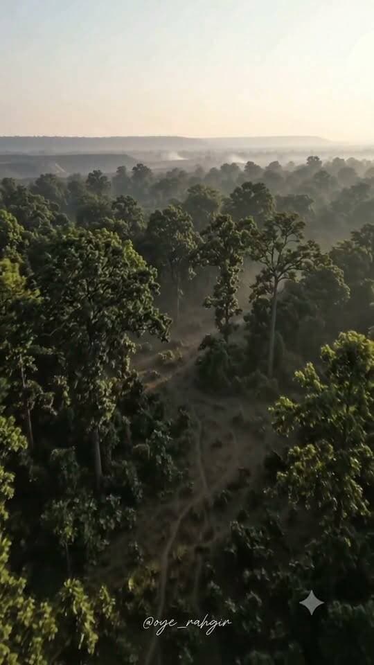 आइए साथ घुनघुटी के जंगल बचाओ अभियान में साथ दे
घुनघुटी बचाओ
🌳 SAVE GHUNGHUTI FOREST | घुनघुटी के जंगल को बचाओ 🐅
मध्य प्रदेश के उमरिया और शहडोल क्षेत्र के जंगल केवल पेड़ों का समूह नहीं, बल्कि अनगिनत वन्यजीवों का घर और हमारी प्राकृतिक विरासत हैं।
आज कोयला खनन परियोजनाओं और वन क्षेत्र पर पड़ने वाले संभावित प्रभावों को लेकर एक गंभीर सवाल है—क्या विकास के साथ हम अपने जंगलों और वन्यजीवों को सुरक्षित रख पाएँगे?
जंगलों की रक्षा करना सिर्फ वन विभाग की जिम्मेदारी नहीं, हम सभी का कर्तव्य है। खनन गतिविधियों से होने वाले पर्यावरणीय प्रभावों की निष्पक्ष जाँच हो, वन्यजीवों के प्राकृतिक आवास और कॉरिडोर सुरक्षित रहें, और जाँच के दौरान बनाए गए गड्ढों को असुरक्षित अवस्था में न छोड़ा जाए।
हम विकास के विरोधी नहीं हैं। हम ऐसा विकास चाहते हैं, जिसमें प्रकृति और वन्यजीवों के भविष्य से समझौता न हो।
आइए, घुनघुटी के जंगलों की आवाज बनें। इस संदेश को ज्यादा से ज्यादा लोगों तक पहुँचाएँ।
एक जंगल बचेगा, तभी हजारों जिंदगियाँ बचेंगी।
🌿 SAVE GHUNGHUTI FOREST
🐅 SAVE WILDLIFE
🌎 SAVE OUR FUTURE
#SaveGhunghutiForest #savewildlife #GhunghutiForest #Umaria #Shahdol #MadhyaPradesh #ForestConservation #wildlifeprotection