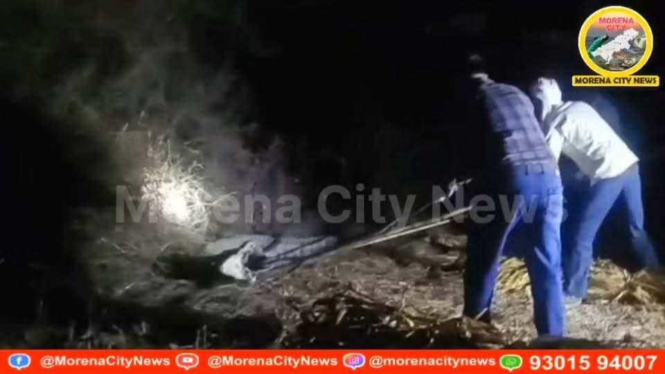 देवगढ़ के खुलावली साला गांव में मिला वयस्क मगरमच्छ, वन विभाग ने रेस्क्यू कर चंबल नदी में छोड़ा
मुरैना। जिले के देवगढ़ थाना क्षेत्र के ग्राम खुलावली साला चौकी के पास रात्रि में एक वयस्क मगरमच्छ दिखाई देने से क्षेत्र में हलचल मच गई। सूचना मिलने पर वन विभाग की टीम मौके पर पहुंची और मगरमच्छ का सुरक्षित रेस्क्यू किया।
जानकारी के अनुसार, 18 और 19 अक्टूबर 2026 की दरमियानी रात वन मंडल अधिकारी के निर्देशन में वन विभाग की टीम रात करीब 12:30 बजे से सुबह 4 बजे तक मौके पर मौजूद रही। टीम ने ग्राम खुलावली साला चौकी के पास पहुंचे वयस्क मगरमच्छ को सुरक्षित तरीके से रेस्क्यू किया।
रेस्क्यू के बाद मगरमच्छ को चंबल नदी के राजघाट क्षेत्र में सुरक्षित छोड़ दिया गया। वन विभाग की टीम की सतर्कता से मगरमच्छ को सुरक्षित प्राकृतिक आवास में पहुंचाया गया।
#मुरैना #morena #मगरमच्छ