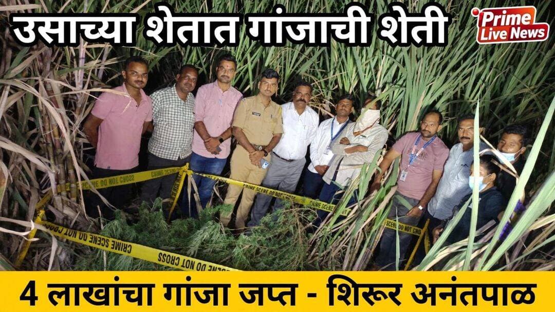 उसाच्या शेतात गांजाची लागवड; साडेचार लाखांचा मुद्देमाल जप्त
शिरूर अनंतपाळ पोलिसांची कारवाई; एकावर गुन्हा दाखल
लातूर, दि. 19 : उसाच्या शेतात गांजाची लागवड केल्याचा धक्कादायक प्रकार शिरूर अनंतपाळ तालुक्यात उघडकीस आला आहे. पोलिसांनी छापा टाकून 8 किलो 620 ग्रॅम गांजा जप्त केला असून त्याची किंमत 4 लाख 31 हजार रुपये आहे.
पोलीस अधीक्षक कार्यालयाकडून मिळालेल्या माहितीनुसार, मौजे सांगवी-घुगी शिवारातील सर्व्हे क्रमांक 12 मधील मधुकर बिरादार यांच्या उसाच्या शेतात गांजाची लागवड केल्याची माहिती पोलिसांना मिळाली होती. त्यानुसार दि. 18 ऑक्टोबर रोजी रात्री 8 वाजून 28 मिनिटांनी पोलिसांनी छापा टाकला.
यावेळी शेतातून गांजाची झाडे उपटून दोन पोत्यांमध्ये भरलेला एकूण 8.620 किलो गांजा मिळून आला.
याप्रकरणी मनोज मधुकर बिरादार (वय 38, रा. सांगवी-घुगी, ता. शिरूर अनंतपाळ) याच्याविरुद्ध शिरूर अनंतपाळ पोलीस ठाण्यात गु.र.नं. 333/2026, कलम 8(क), 20(ब)(ii)(ब) एनडीपीएस अधिनियम 1985 अन्वये गुन्हा दाखल करण्यात आला आहे.
सदर गुन्ह्याची फिर्याद परिविक्षाधीन पोलीस उपअधीक्षक अक्षय जाधव यांनी दिली असून पुढील तपास पोलीस उपनिरीक्षक रायबोळे हे करीत आहेत. ही कारवाई पोलीस अधीक्षक अमोल तांबे यांच्या आदेशाने व अपर पोलीस अधीक्षक मंगेश चव्हाण यांच्या मार्गदर्शनात करण्यात आली.