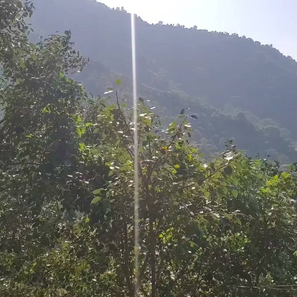 हिमाचल के डिबरी माता के मंदिर के दर्शन