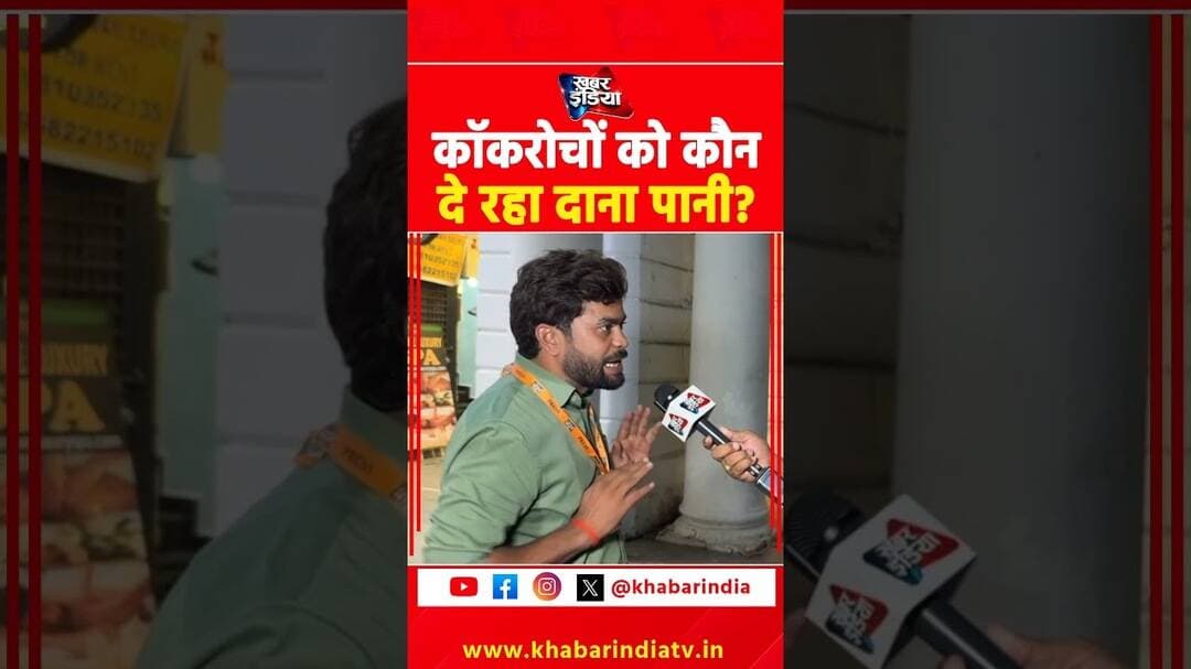 कॉकरोचों को कौन दे रहा दाना पानी? #reels #shorts #trending #top #cjp #delhi #viral #viralvideo #yt