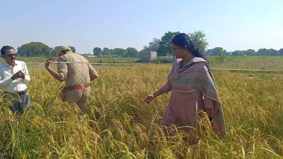 भदवास में जिलाधिकारी ने फसल कटाई का लिया जायजा