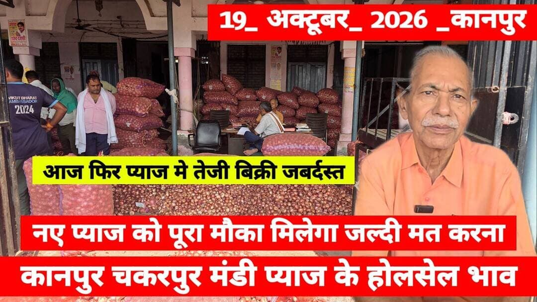 19 October 2026 कानपुर प्याज़ के भावonionreport kanpur #onionmarket kanpur onionmarket price #onion