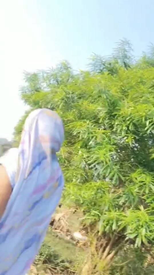 #gonda #viralvídeo
राजस्व विभाग में तैनात लेखपाल का वीडियो वायरल
अपने ही बड़े भाई से गाली गलौज का वीडियो वायरल
बड़े भाई ने एक नहीं दो-दो बार थाने जाकर दी तहरीर
राजस्व विभाग में लेखपाल भाई से जान बचाने की गुहार
मृतक आश्रित कोटे से लेखपाल बने स्वामीनाथ शुक्ला
बड़े भाई उमाशंकर से स्वामीनाथ का जमीनी विवाद
मोतीगंज थाने की पुलिस कर रही पूरे मामले की जांच
मोतीगंज थाना क्षेत्र के दिनारा बनकटा गांव की घटना