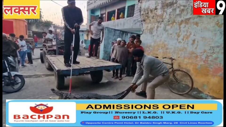 घर में घुसकर खतरनाक मगरमच्छ ने मचाया तांडव - परिवार के लोगो ने दूसरे कमरे में छिपकर बचाई अपनी जान
#UttarakhandNews
#RoorkeeNews
#HaridwarNews
#uttarakhand
#roorkee
#breakingn