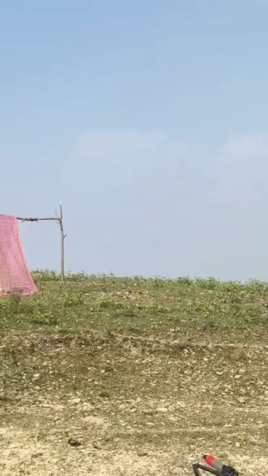 अचानक सीधी के इस गांव मे शासकीय जमीन पर 50 से ज्यादा लोगो ने कर लिया कब्ज़ा