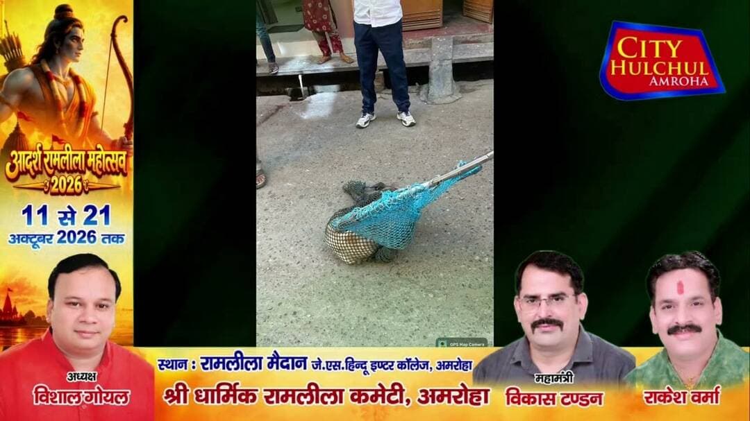 पालिका ने चलाया अभियान आवारा कुत्तों को पकड़ा शहर वासियों को मिलेगी राहत #देखे #सिटी