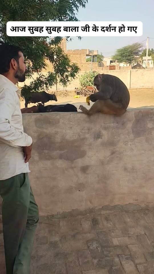 आज सुबह सुबह बाला जी के दर्शन हो गए
#किसान #खाजूवाला