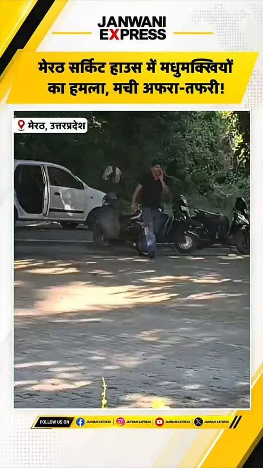 🐝 मेरठ सर्किट हाउस में मधुमक्खियों का हमला, मची अफरा-तफरी!
मेरठ के सिविल लाइन स्थित सर्किट हाउस में सोमवार शाम मधुमक्खियों के अचानक हमले से भगदड़ मच गई। युवक अभिनव को करीब 50 डंक लगे, जिसके बाद वह बेहोश होकर गिर पड़ा। पुलिस ने उसे अस्पताल में भर्ती कराया।
📰 लेटेस्ट न्यूज़ देखने के लिए जनवाणी एक्सप्रेस को फॉलो करें।
#Meerut #MeerutNews #UttarPradesh #BreakingNews #HoneyBeeAttack BeeAttack LatestNews UPNews ViralNews JanwaniExpress