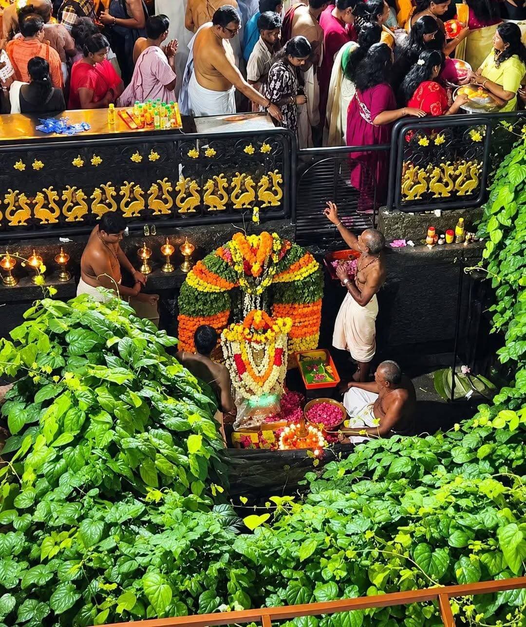 ദക്ഷിണ മൂകാംബിക പനച്ചിക്കാട് 🙏🥰