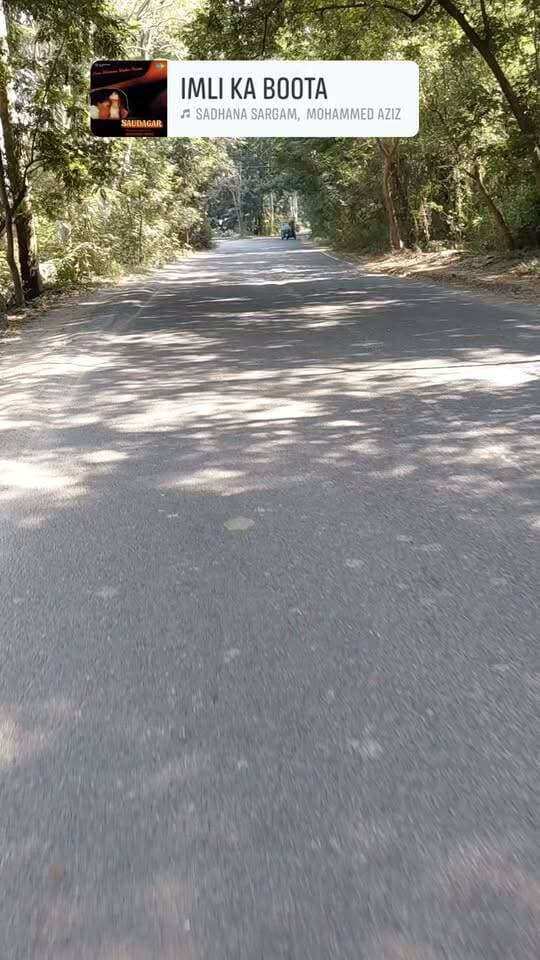 🌳 जंगल बचाएं, पर्यावरण बचाएं 🌿
पेड़-पौधे प्रकृति की अनमोल धरोहर हैं। जंगलों को कटने और जलने से बचाएं, अधिक से अधिक पेड़ लगाएं और धरती को हरा-भरा बनाएं। 🌱
🙏 प्रकृति बचाएं, जीवन बचाएं, पर्यावरण संरक्षण अपनाएं।
